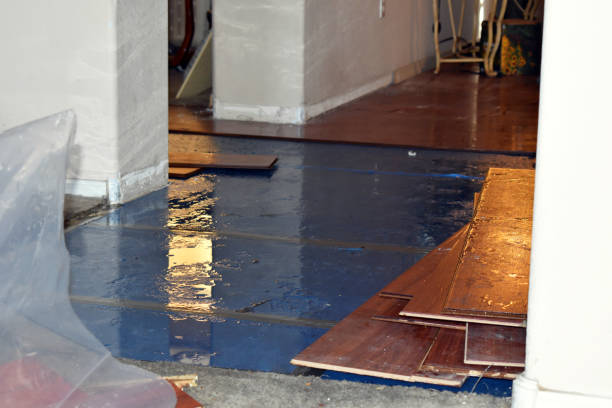 Professional Burst Pipe Cleanup technician working in Boomer, WV